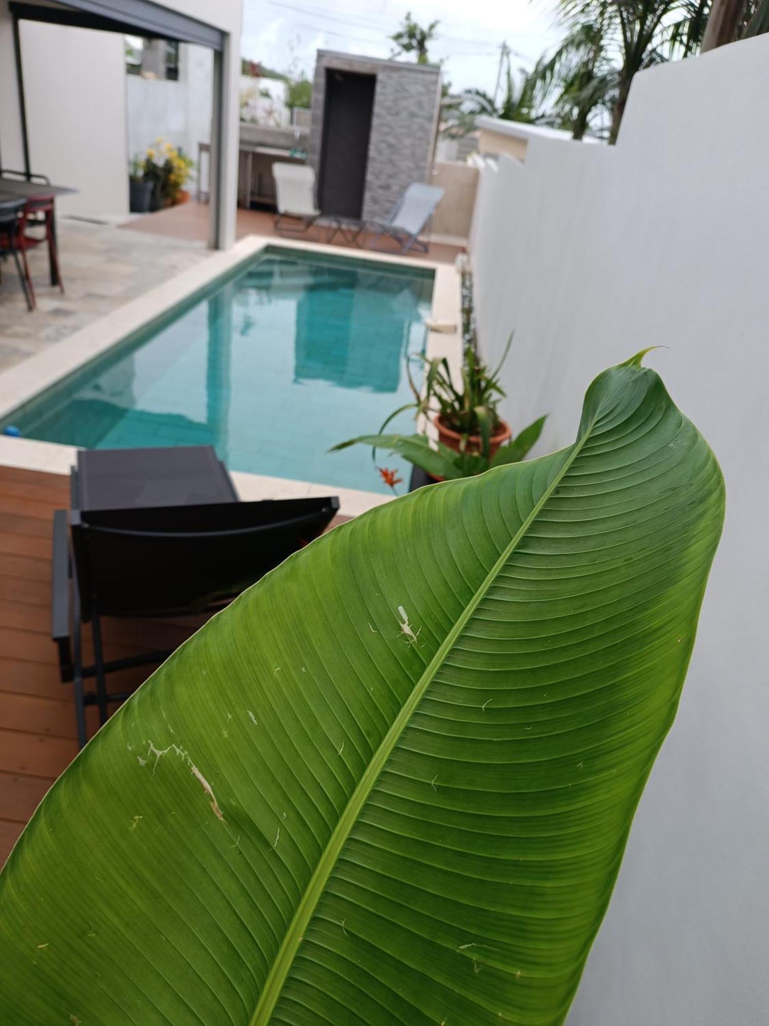 Villa O'Lhaya Piscine Pivee Saint-Joseph Bagian luar foto