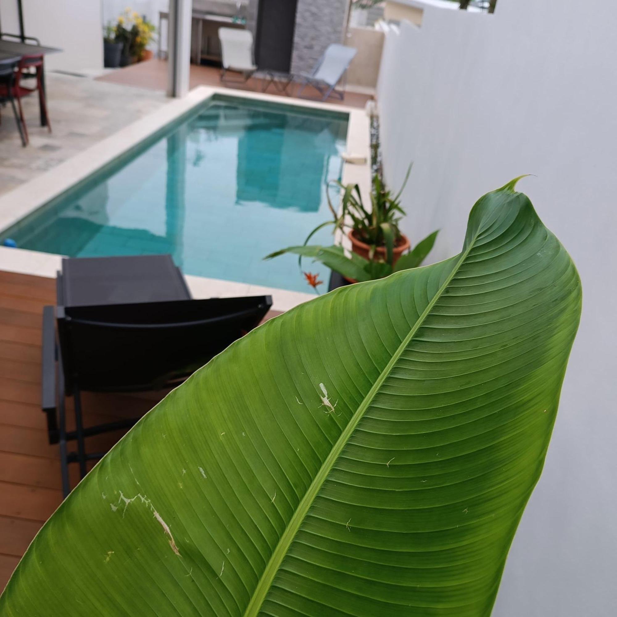 Villa O'Lhaya Piscine Pivee Saint-Joseph Bagian luar foto