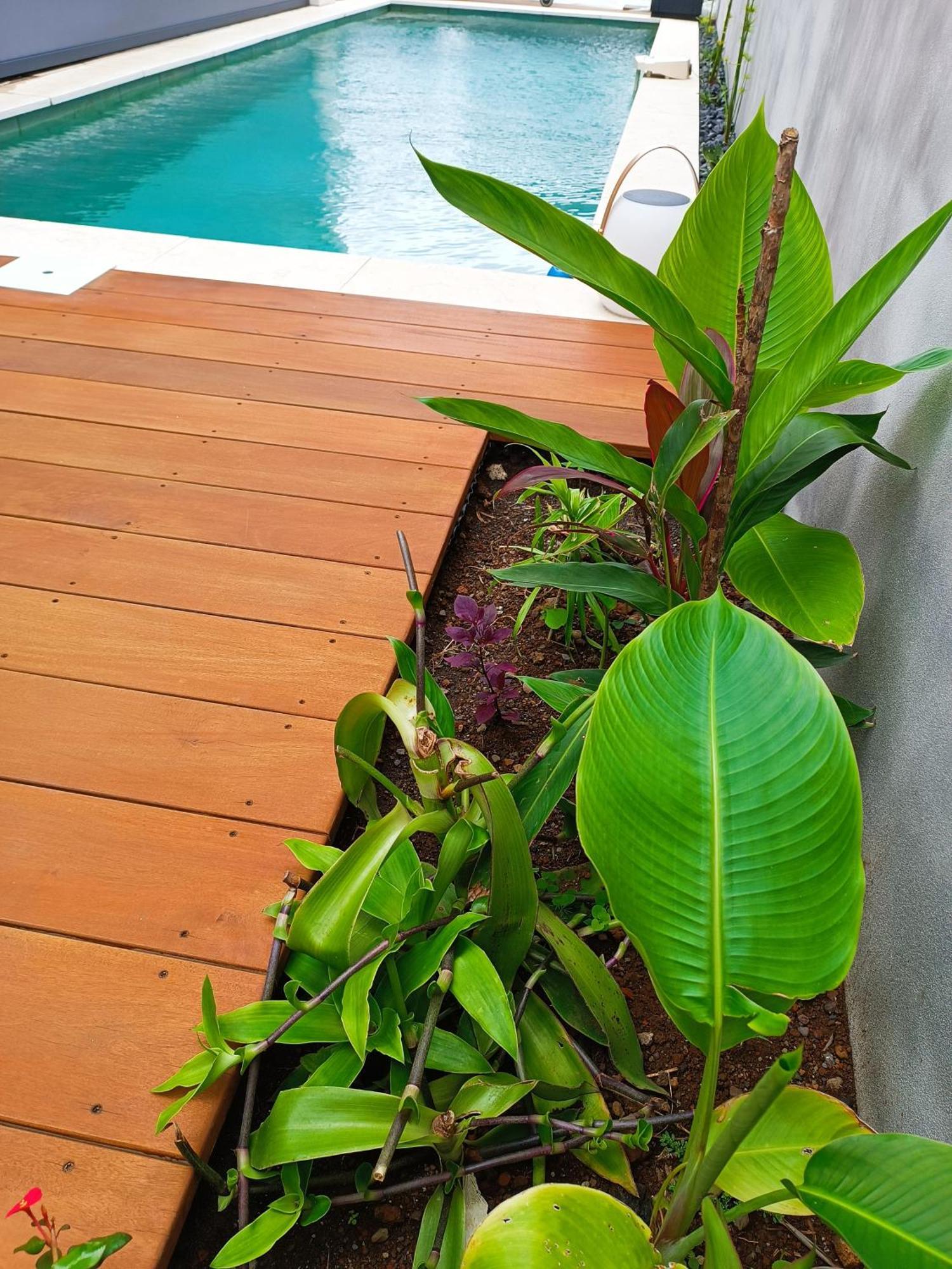 Villa O'Lhaya Piscine Pivee Saint-Joseph Bagian luar foto