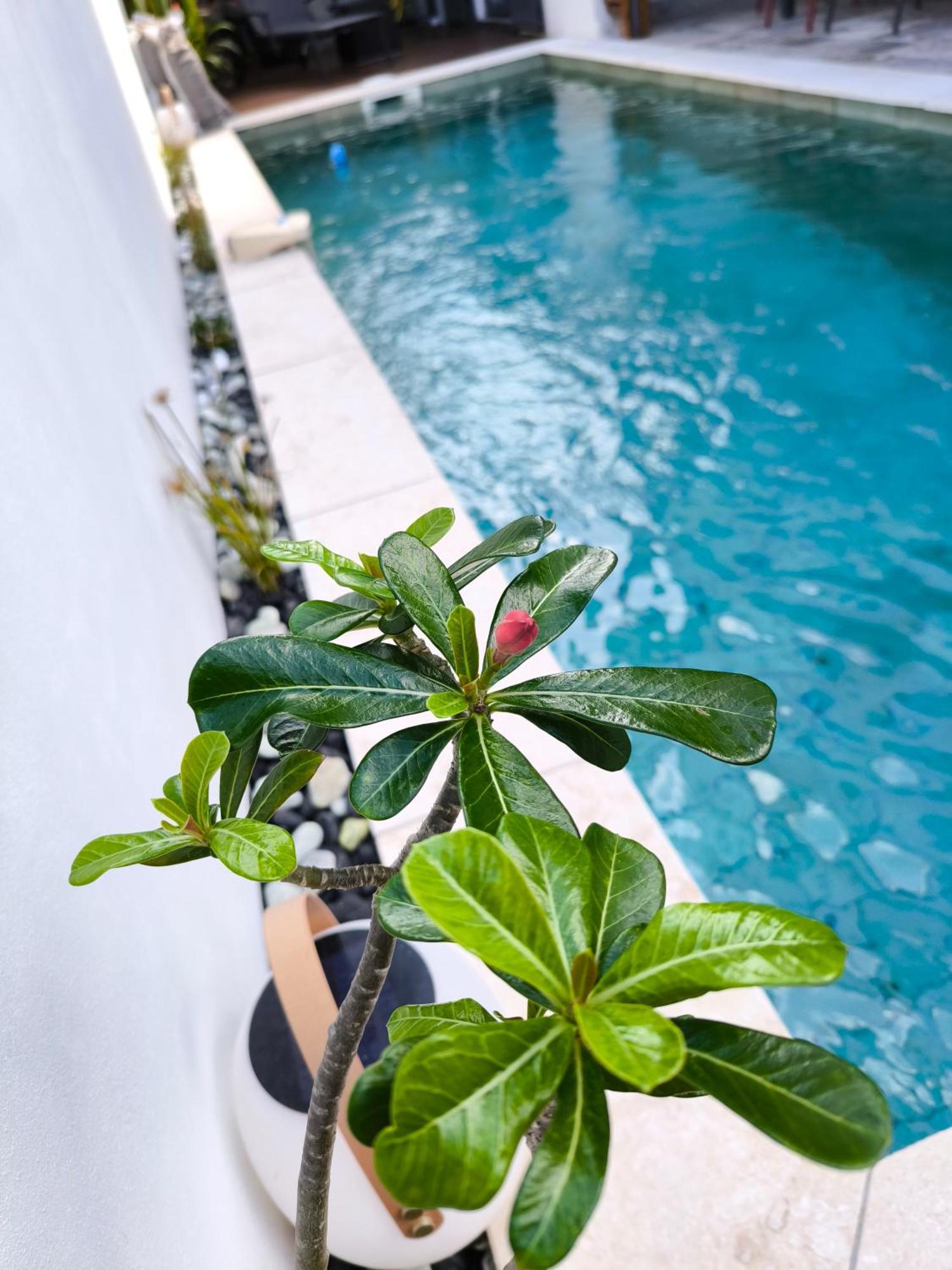 Villa O'Lhaya Piscine Pivee Saint-Joseph Bagian luar foto